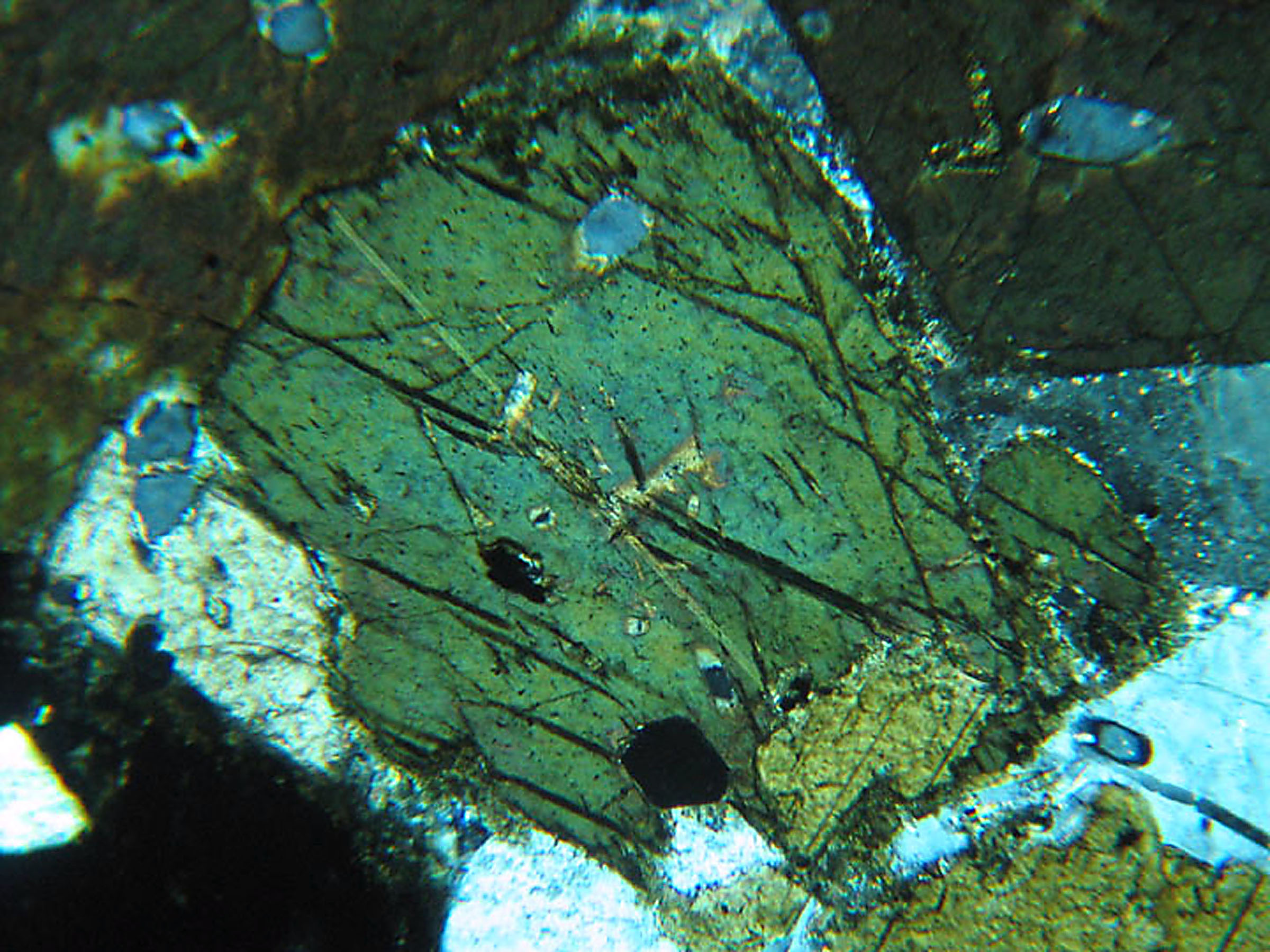 actinolite thin section