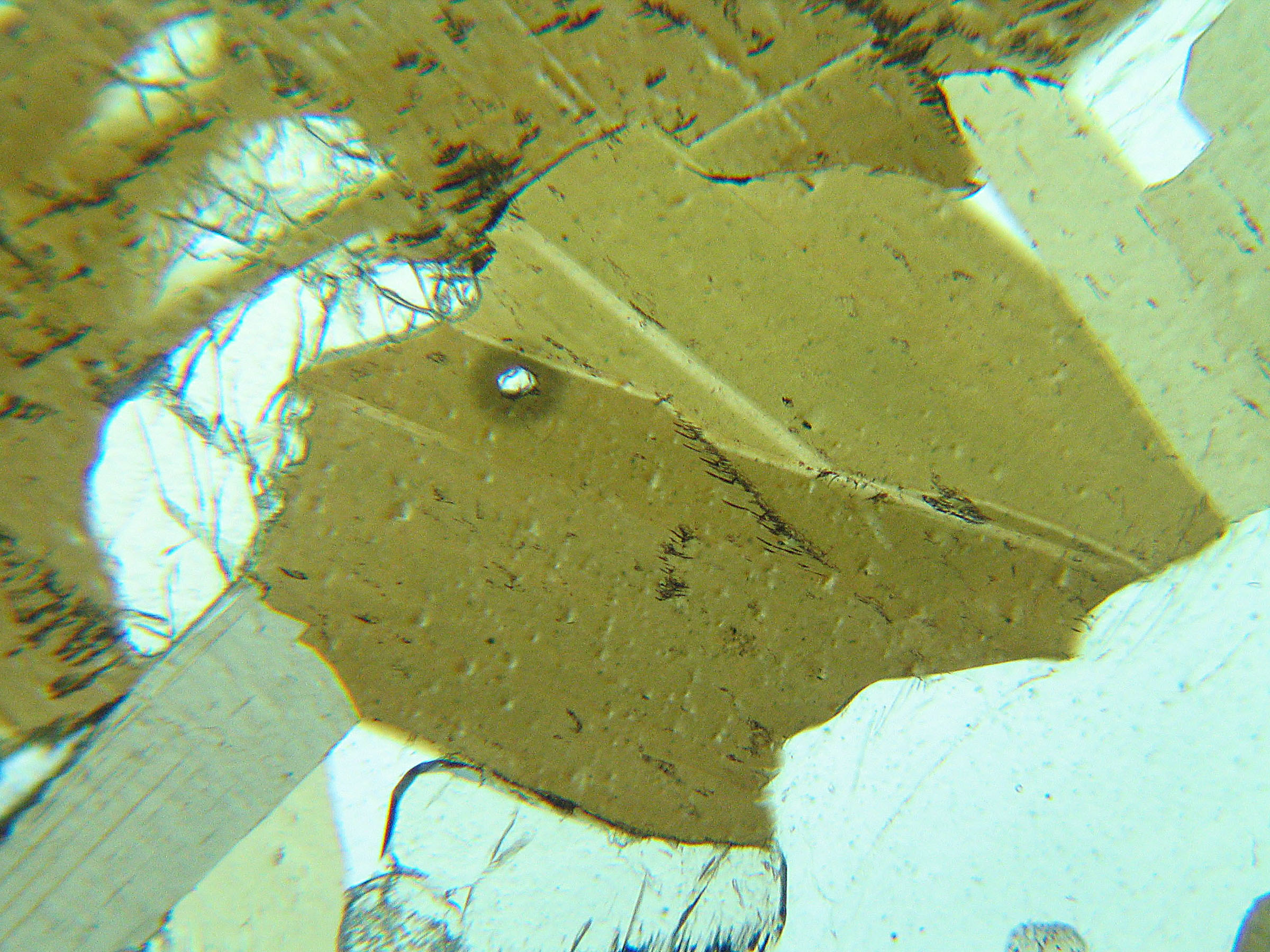 biotite microscope